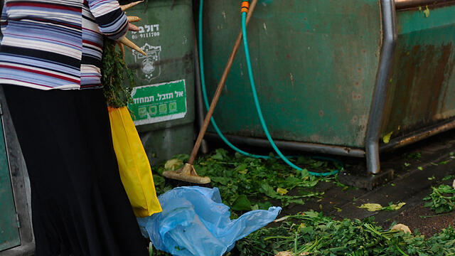 Фото: Бени Дойтч (צילום: בני דויטש) Фото: Бени Дойтч
