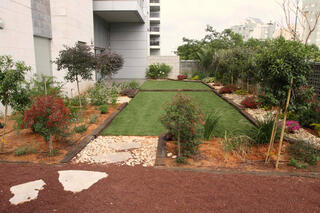 דירת גן. אילוסטרציה