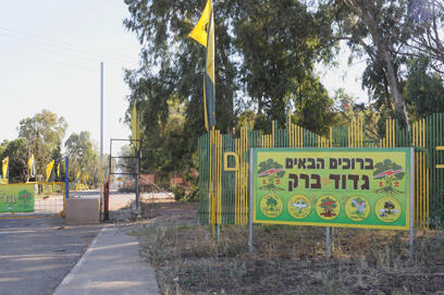 צילום: אביהו שפירא