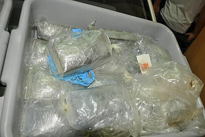 צילום: מאיר אוחיון