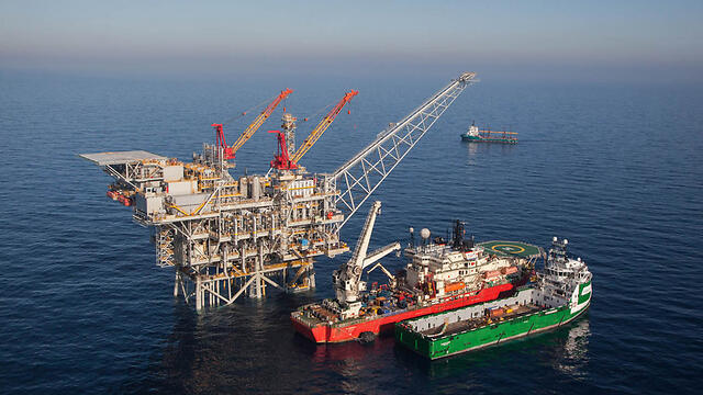 Tamar gas field (Photo:Albatross) (צילום: אלבטרוס) Tamar gas field (Photo:Albatross)