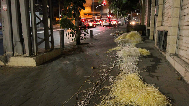 Trash in south Tel Aviv streets (Photo: Ido Erez)