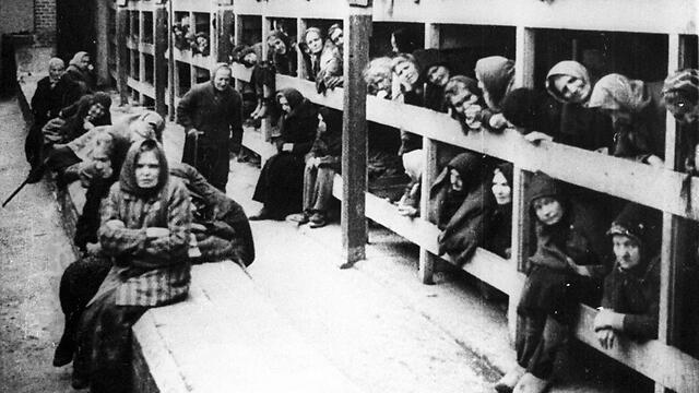 Prisoners in Auschwitz during the Holocaust
