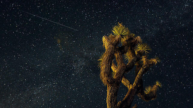 Поток Персеиды. Фото: ЕРА (צילום: EPA) Поток Персеиды. Фото: ЕРА