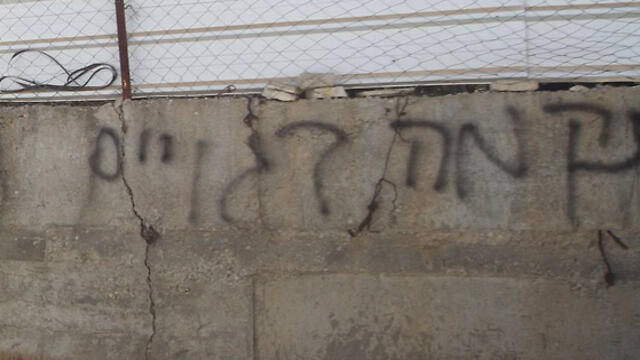 צילום: גיל יוחנן