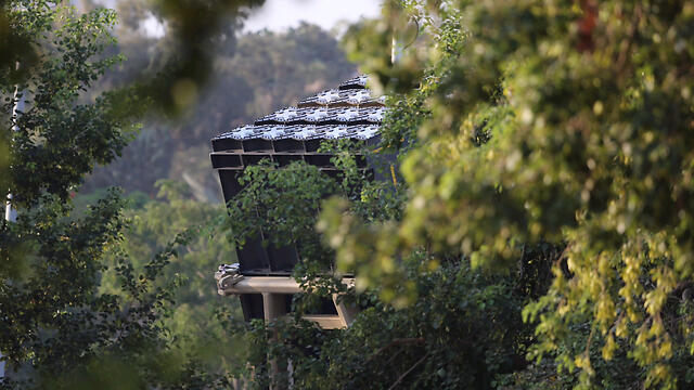 צילום: מוטי קמחי
