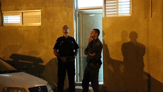 צילום: מוטי קמחי