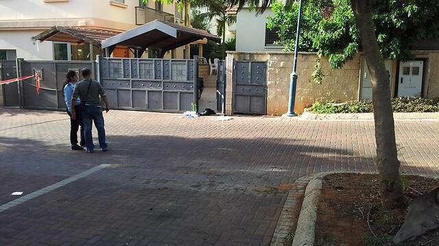 צילום: רענן בן צור