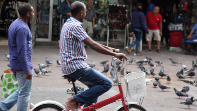 צילום: מוטי קמחי