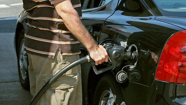 Фото: shutterstock (צילום: shutterstock) Фото: shutterstock