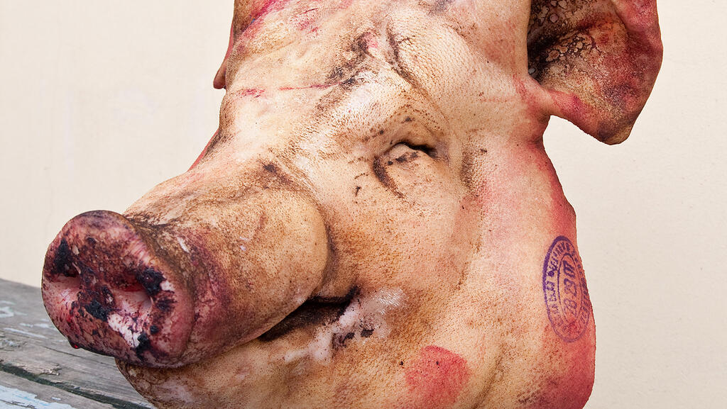 Свиная голова