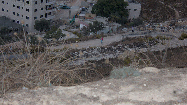 צילום: ליאור מנלה