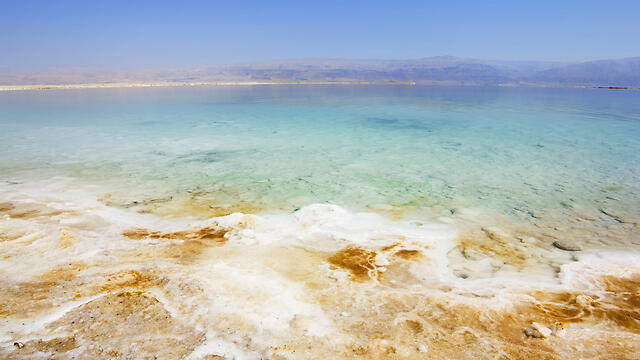 צילום: shutterstock