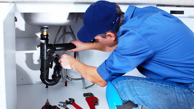 Фото: shutterstock (צילום: shutterstock) Фото: shutterstock