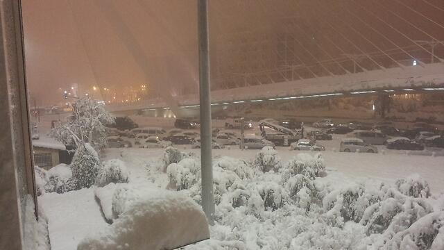 צילום: יוס שקד