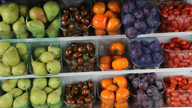 Фото: Моти Кимхи (צילום: מוטי קמחי) Фото: Моти Кимхи