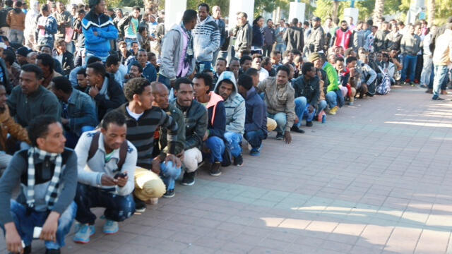 Фото: Моти Кимхи (צילום: מוטי קמחי) Фото: Моти Кимхи