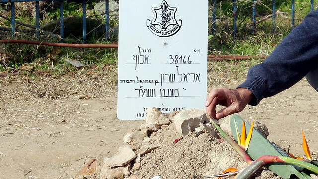 צילום: רועי עידן