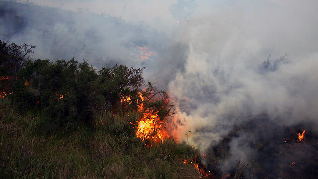 צ'ילה שריפה טורס דל פאינה
