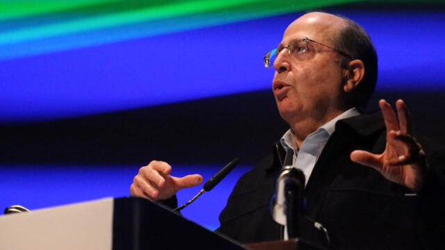 צילום: מוטי קמחי