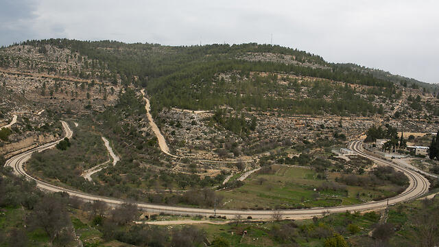 The ancient terraces in Battir (Photo: Ohad Zwigenberg
