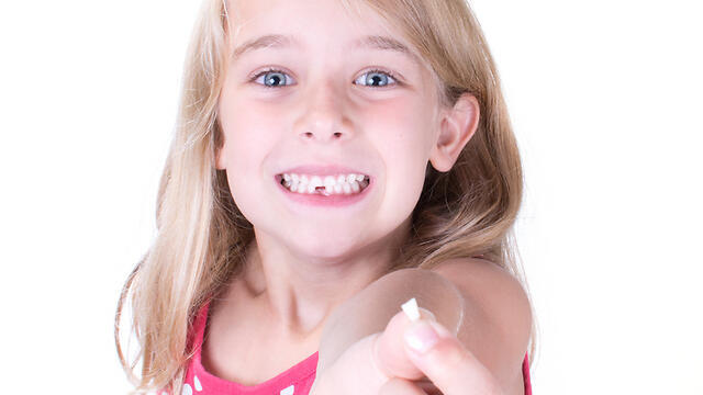 Фото: Shutterstock (צילום: shutterstock) Фото: Shutterstock