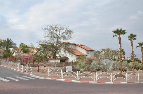 Эйлат. Фото: Меир Охайон (צילום: מאיר אוחיון) Эйлат. Фото: Меир Охайон