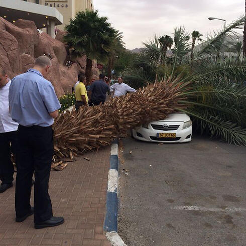 (Photo: Eran Menrov)