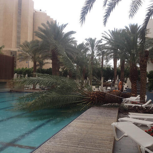 (Photo: Meyer Ochion)