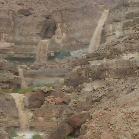 Заповедник Эйн-Геди. Фото: Зив Синай