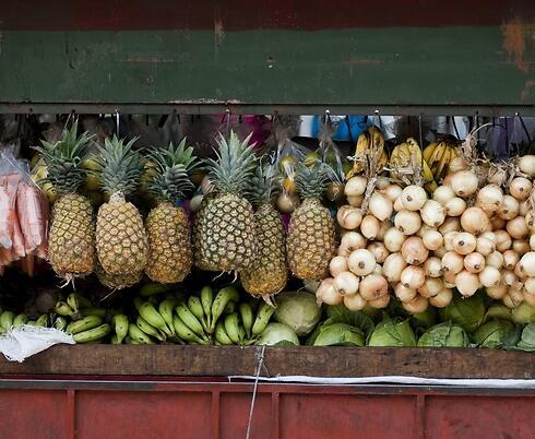 Фото: shutterstock