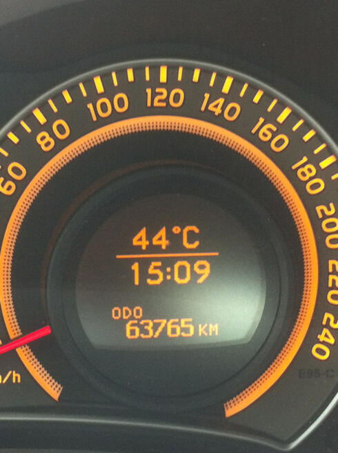 Photo: Manor Arnon (צילום: מנור ארנון) Photo: Manor Arnon