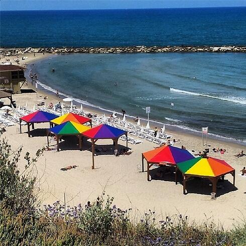 Daily party at Hilton beach Tel Aviv (Photo: Amit Kotler) (צילום: עמית קוטלר) Daily party at Hilton beach Tel Aviv (Photo: Amit Kotler)