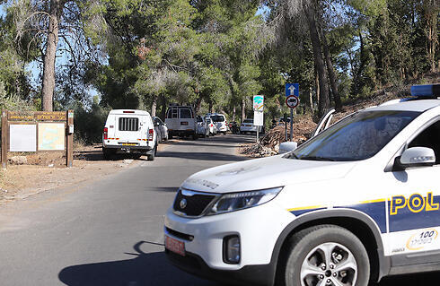 Jerusalem Forest (Photo: Gil Yohanan)