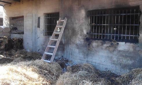 Livestock pen set ablaze
