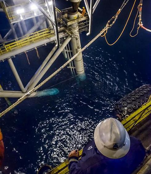 Tamar gas field (Photo: Albatros / Nobel Energy) (צילום: אלבטרוס, באדיבות נובל אנרג'י) Tamar gas field (Photo: Albatros / Nobel Energy)