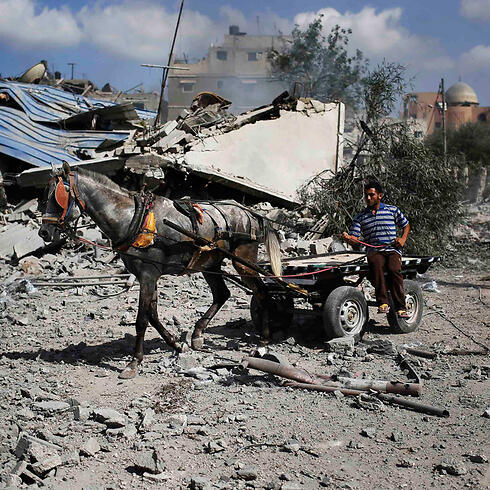 Taking stock of the devastation in Gaza during Saturday's humanitarian ceasefire. (Photo: Reuters)