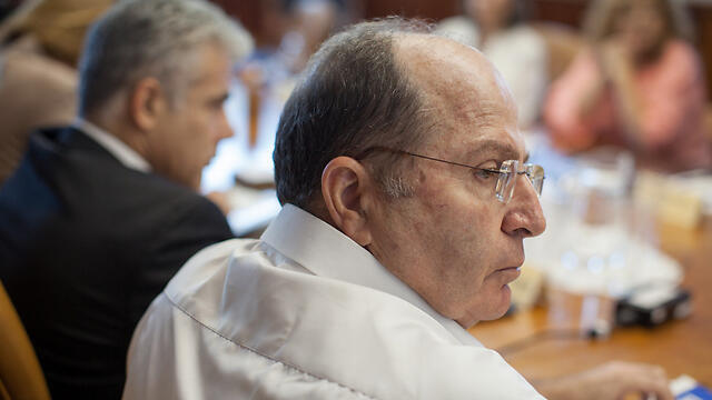 צילום: אמיל סלמן, הארץ