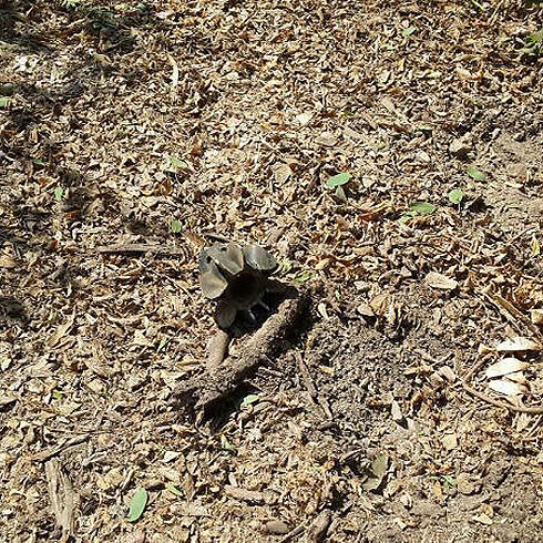 Rocket that fell in Nir Oz (Photo: Ilana Curiel)