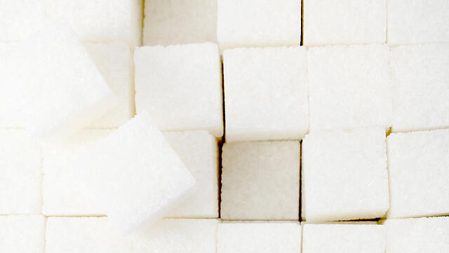 Фото: shutterstock