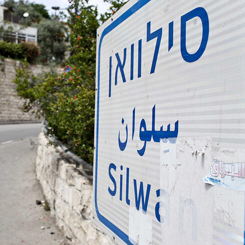 Photo: Noam Moskovich