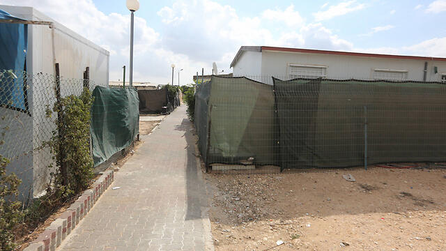 צילום: גיל יוחנן