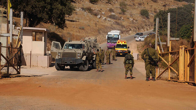 צילום: אביהו שפירא