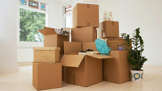 Фотоиллюстрация: Shutterstock