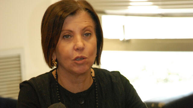 Meretz Chairwoman Zehava Galon (Photo: Barel Efraim)