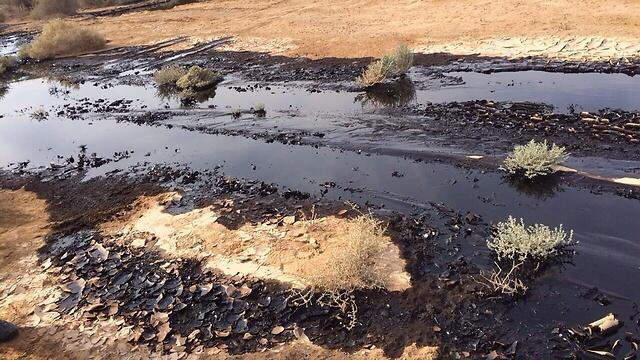 Oil from the spill in Be'er Ora, near Eilat. (Photo: Israel Nature and Parks Authority)