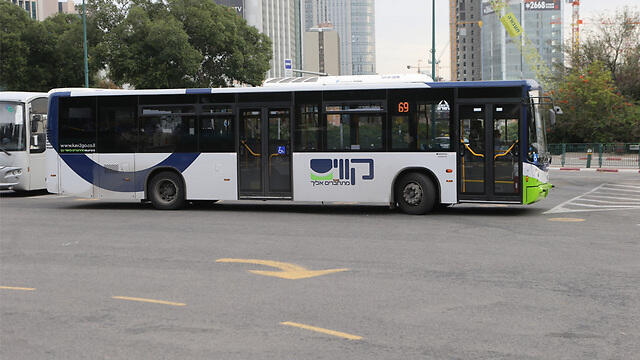 Фото: Моти Кимхи (צילום: מוטי קמחי) Фото: Моти Кимхи