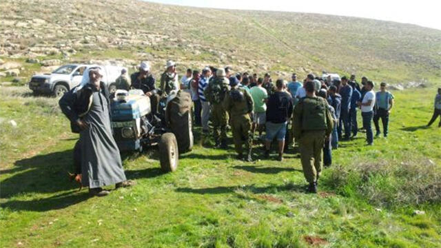 5,000 seedlings destroyed in Palestinian village (Photo: Shira Diament, Tazpit News Agency)