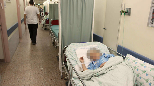 Фото: Идо Эрез (צילום: עידו ארז) Фото: Идо Эрез