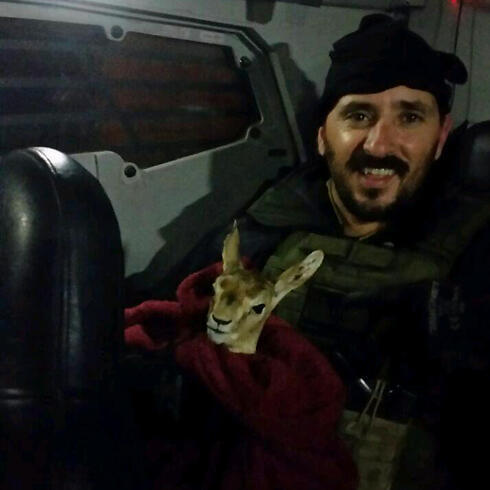 The fawn was taken to the Jerusalem Biblical Zoo, where he received vaccinations. (Photo: Israel Police Spokesman's Unit)